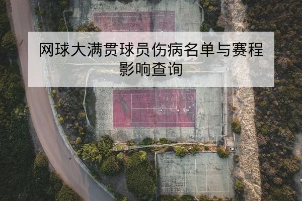 网球大满贯球员伤病名单与赛程影响查询